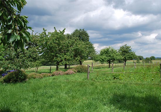 Natur genießen